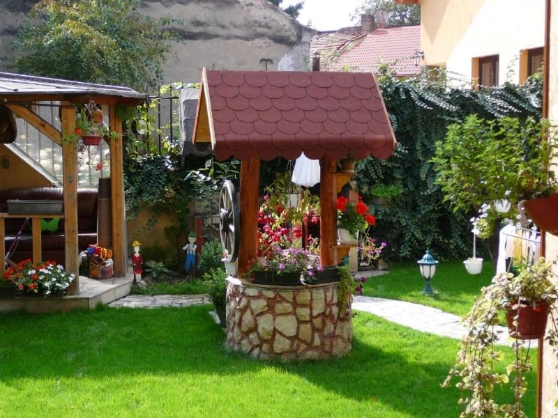Pensiunea Pedro Cluj-Napoca Buitenkant foto