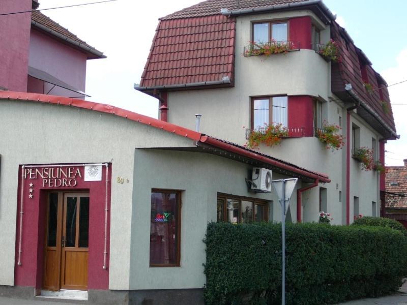 Pensiunea Pedro Cluj-Napoca Buitenkant foto